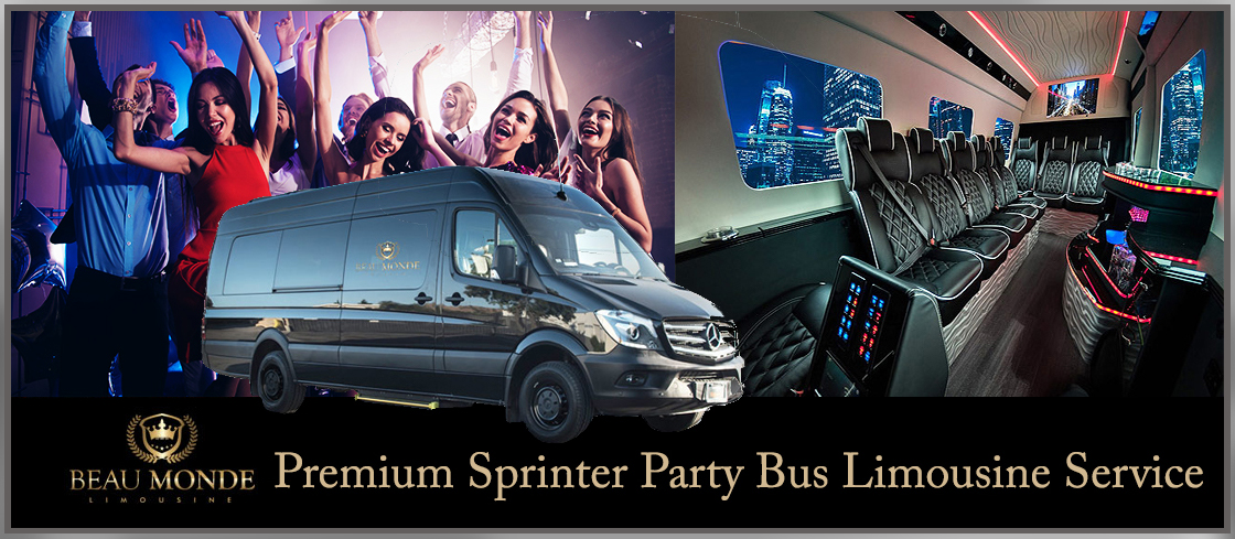 party bus nightlife