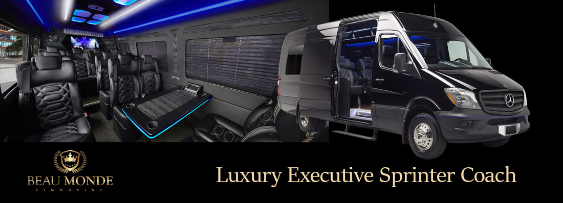 LUXURY EXECUTIVE SPRINTER COACH Luxury Executive Sprinter Coach chauffeur driver services
