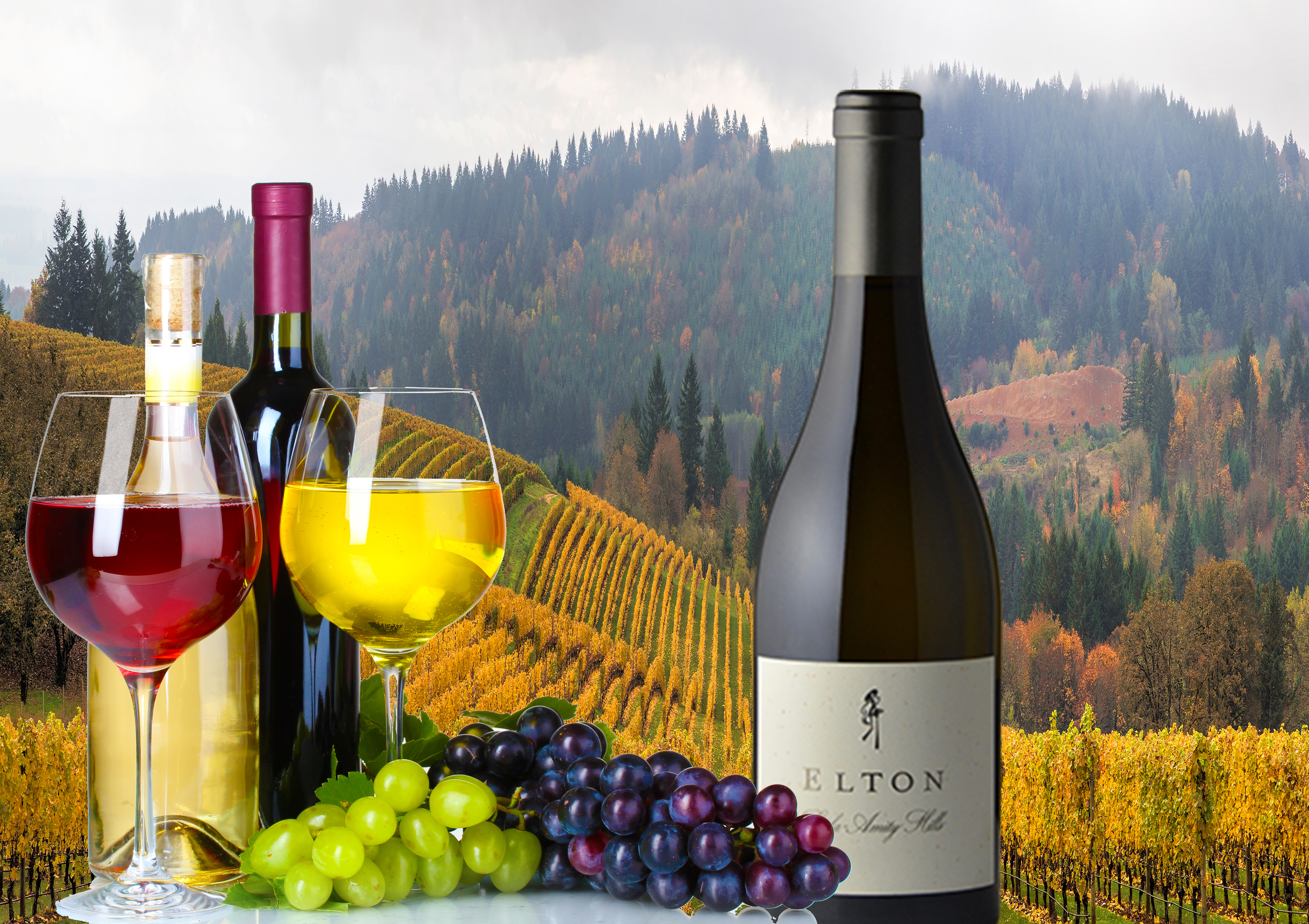 Sokol Blosser Winery Wine Tour