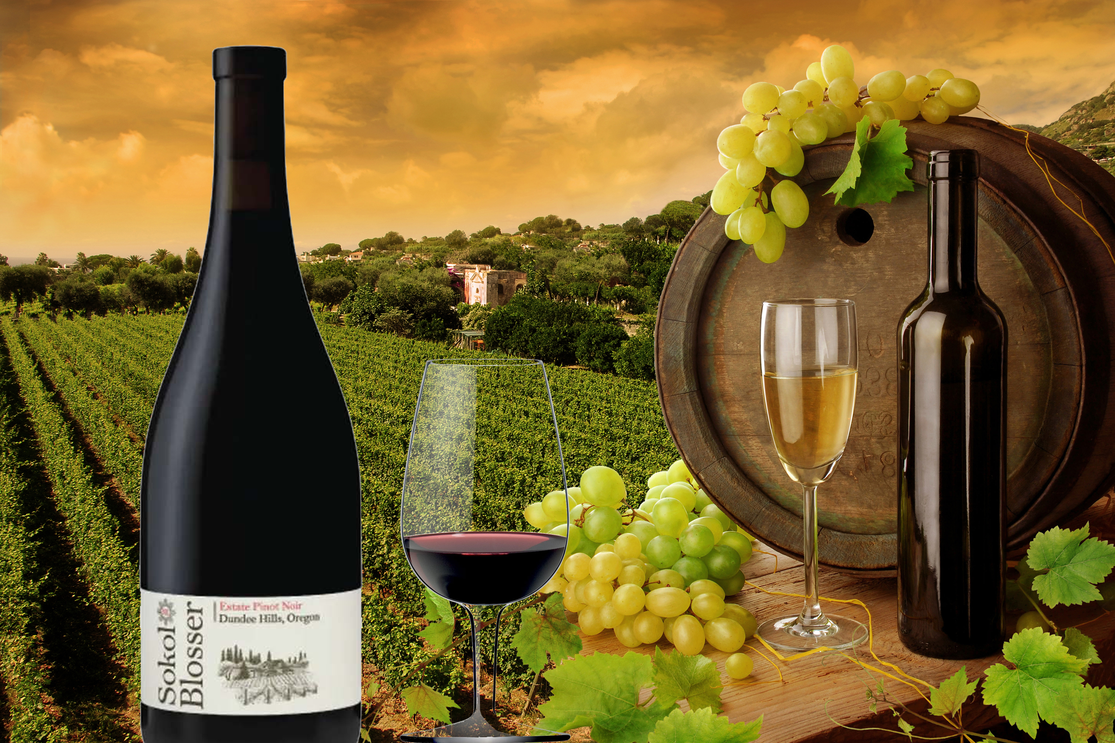 Sokol Blosser Winery Wine Tour