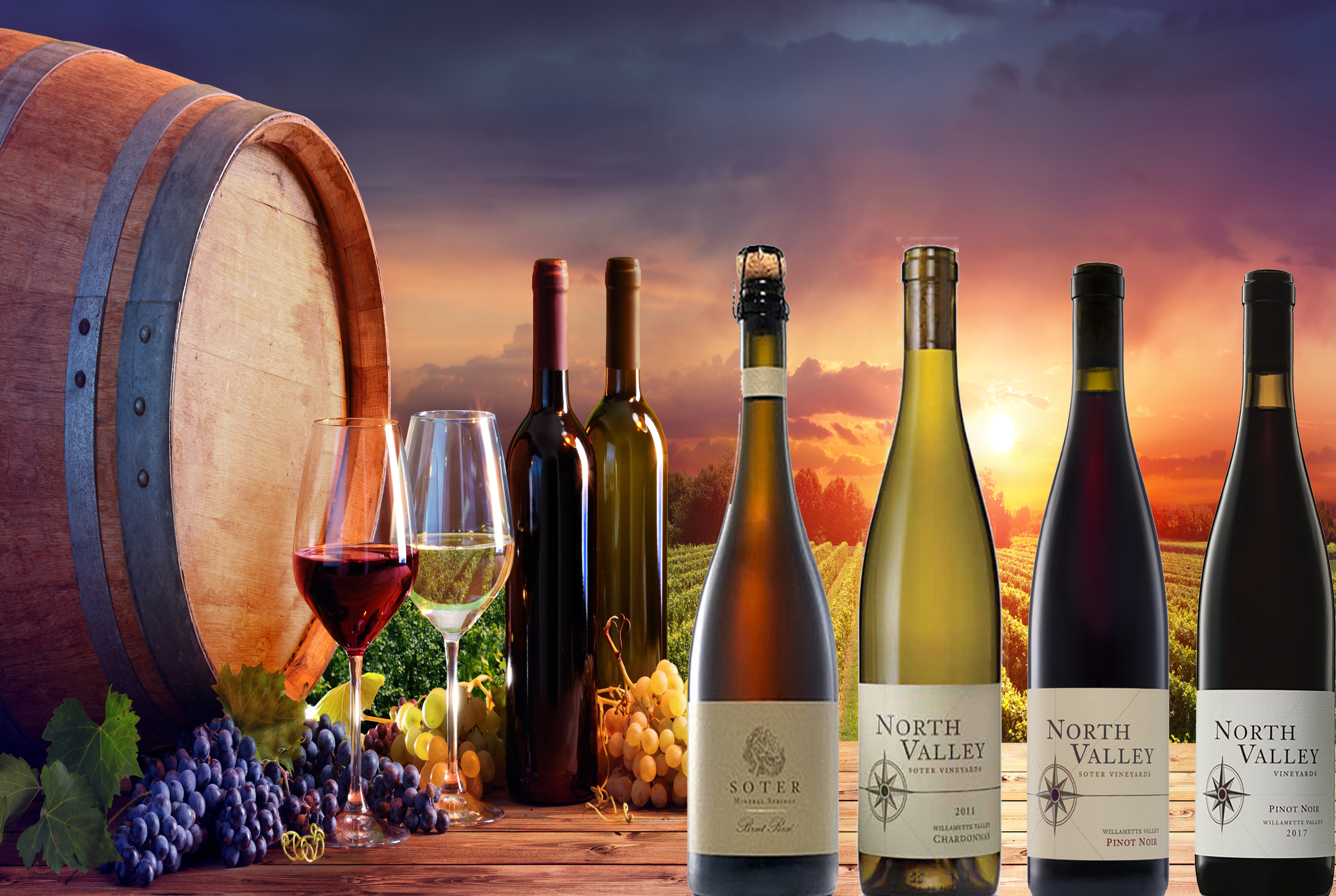 Sokol Blosser Winery Wine Tour