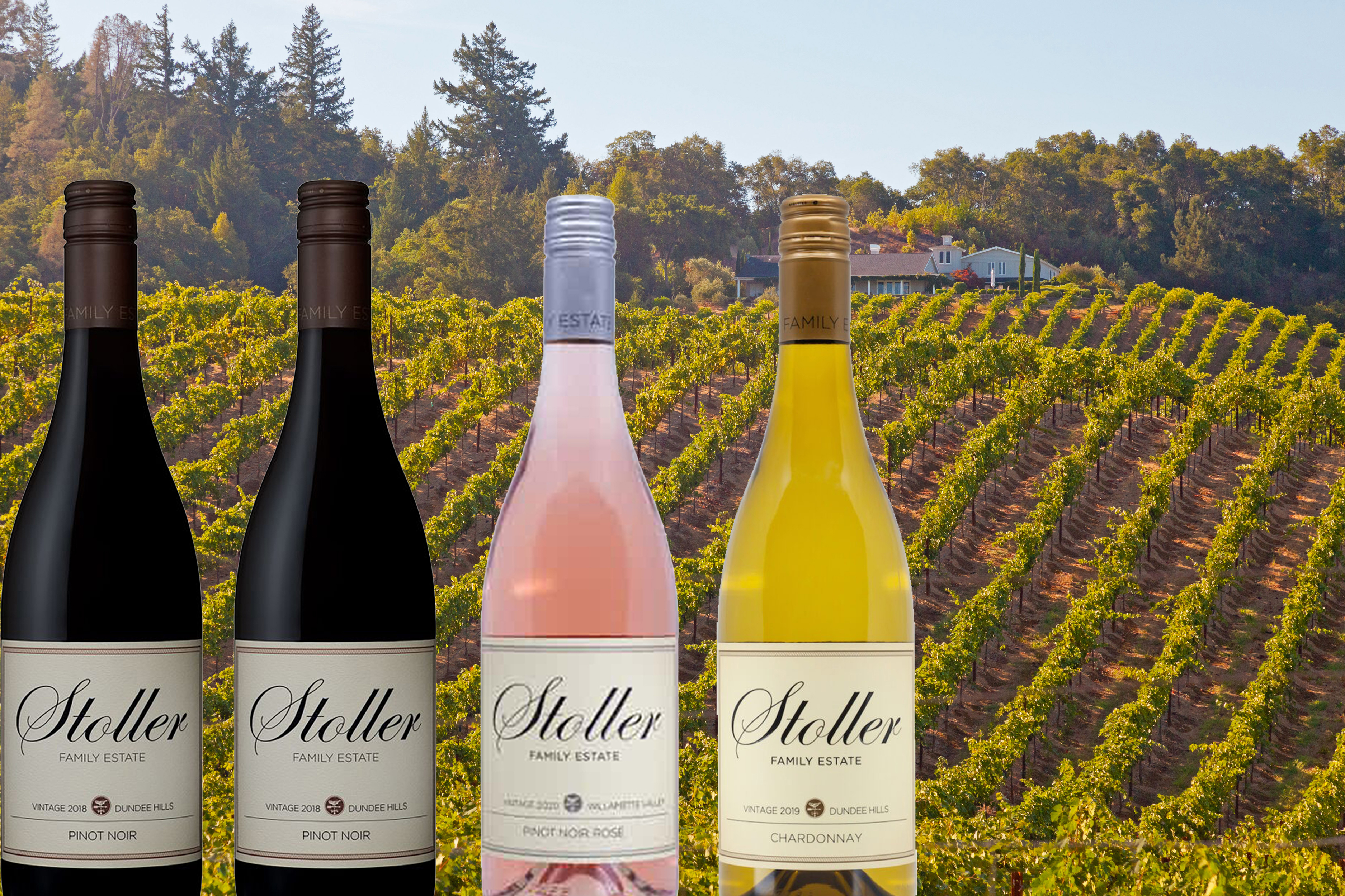 Sokol Blosser Winery Wine Tour